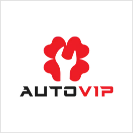 Auto VIP